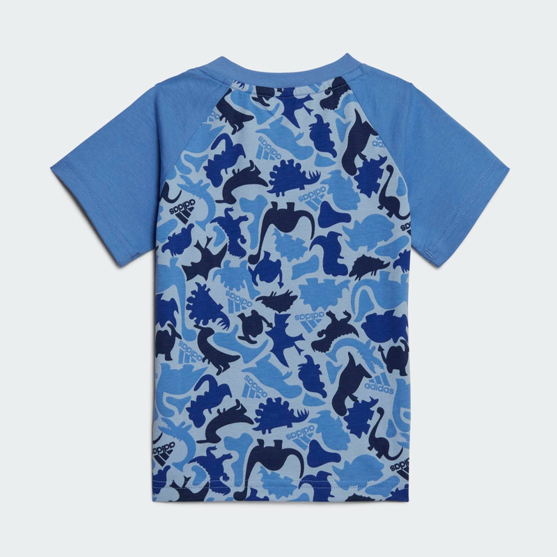 I aop co t set-null