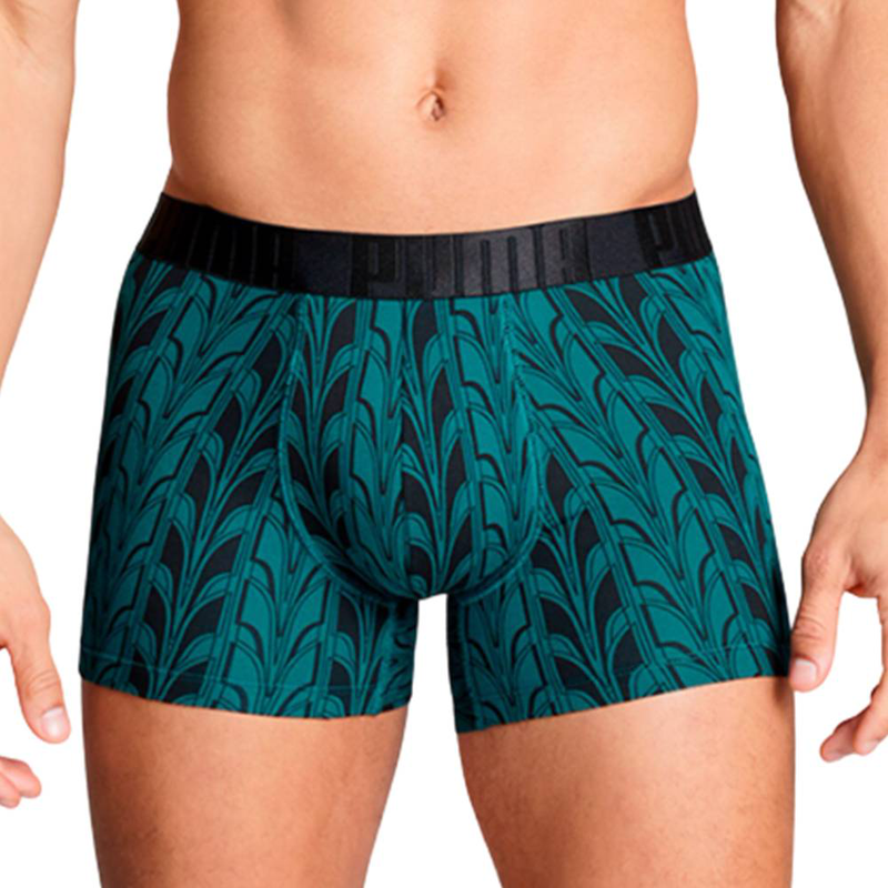 Men terrace print boxer 2p image number null
