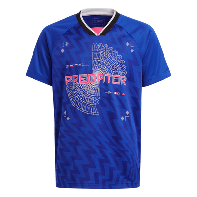 Adidas boys football-inspired predator jersey (ic9998), Blue, medium
