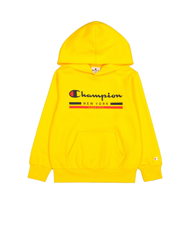 Champion boys hooded sweatshirt image number null
