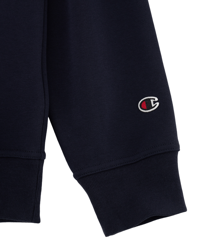 Champion men hooded sweatshirt-null