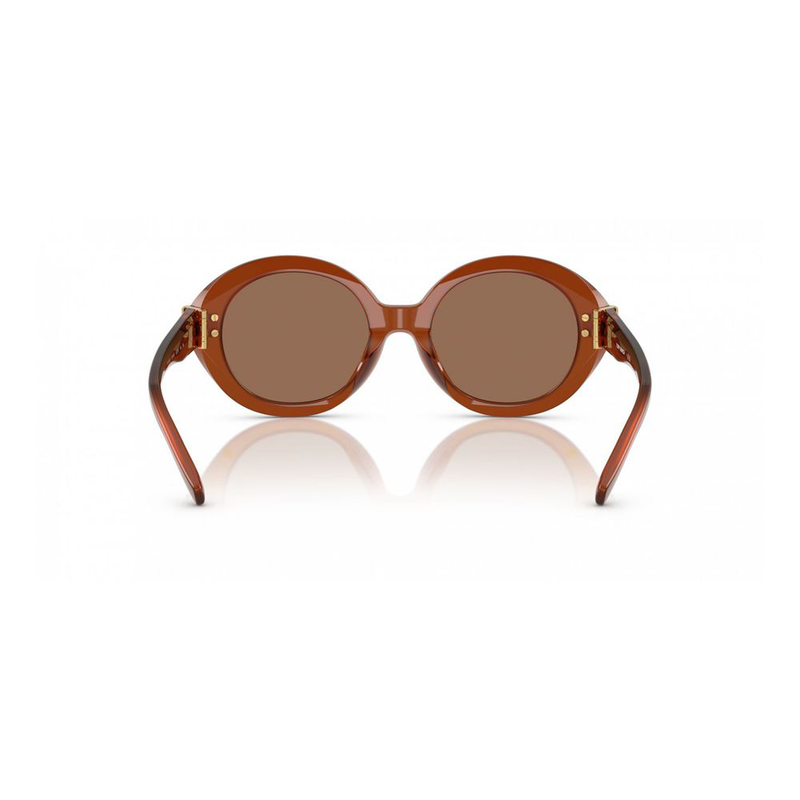 Brown acetate sunglasses-null