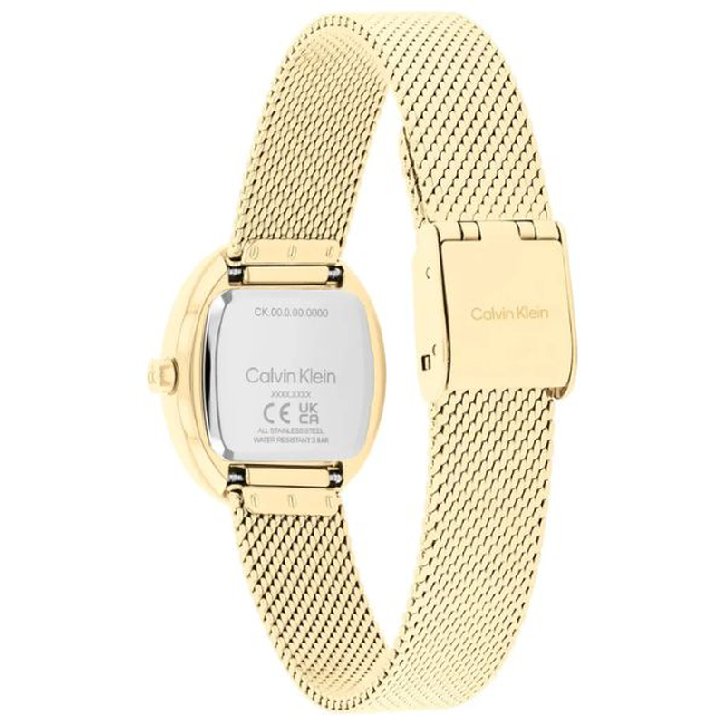Calvin Klein euphoria watch-null