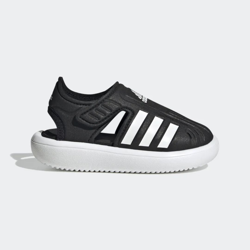 Gw0391-null