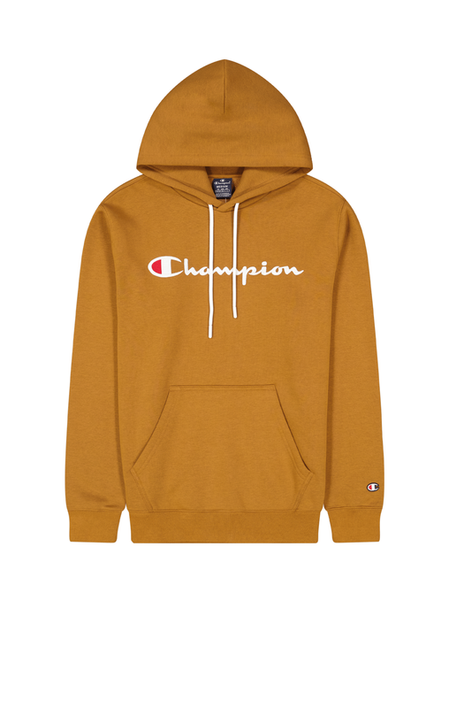 Champion men hooded sweatshirt (219203)-brown-null