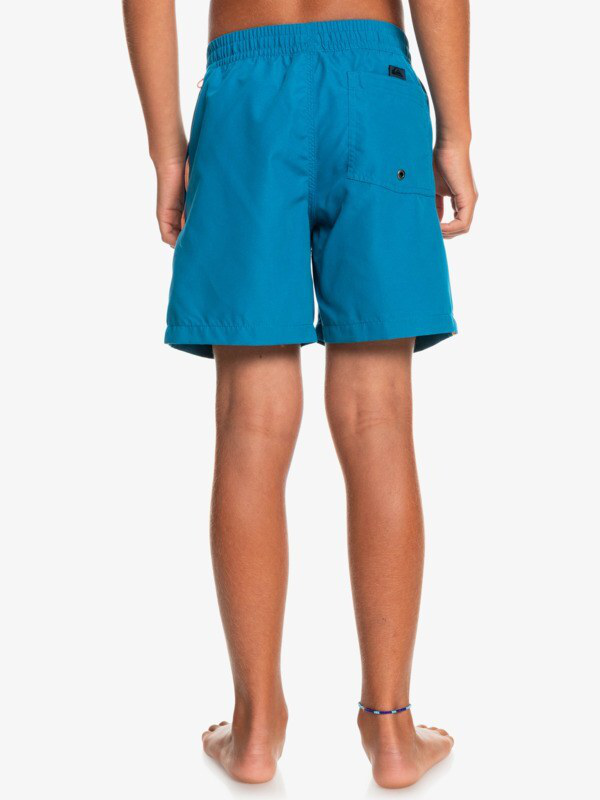 Quiksilver youth boys everyday vert 14" - swim shorts (eqbjv-null