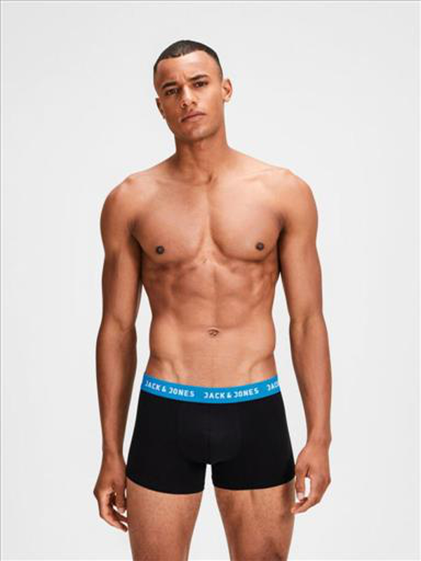 Jack jones jacrich trunks 2 pack image number null