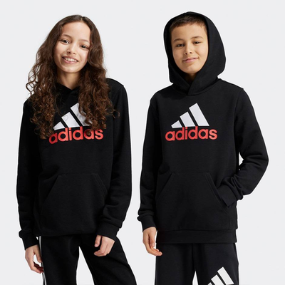 Youth big logo 2 hoodie