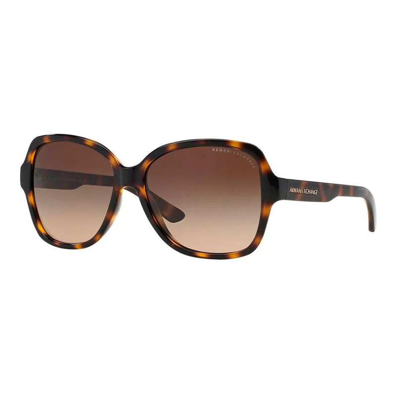 Brown acetate sunglasses-null