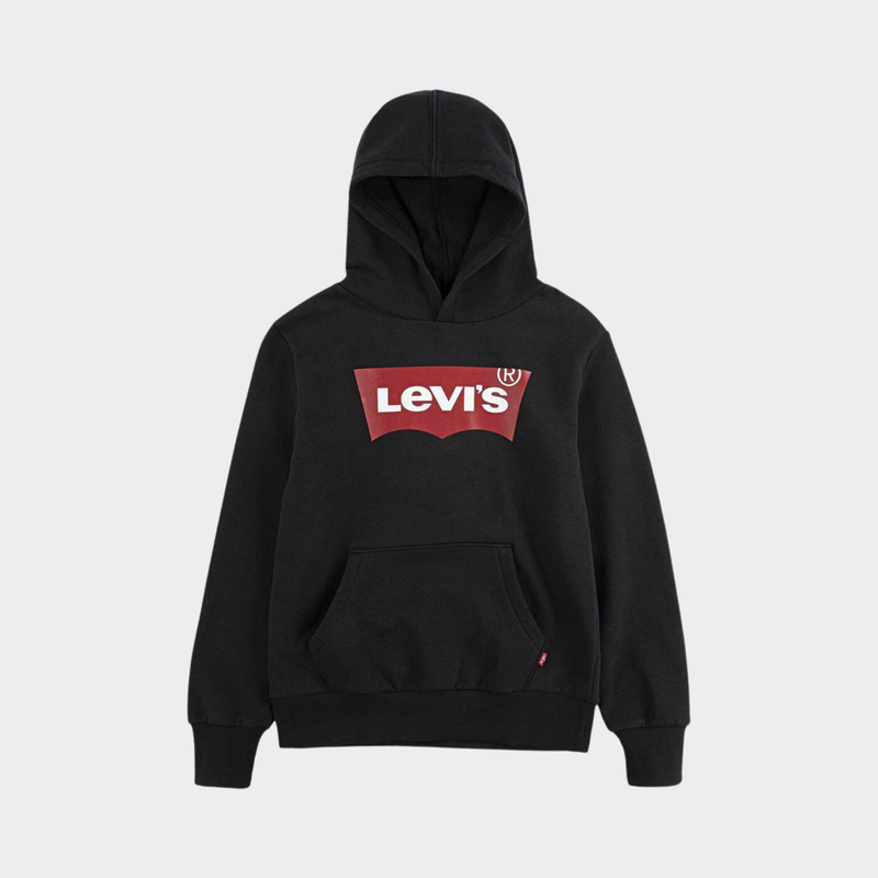 Boys  batwing screenprint hoodie-null