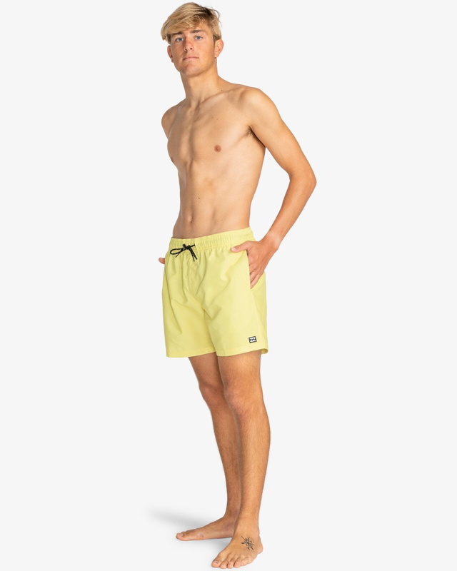 Billabong mens swimwear all day lb-null