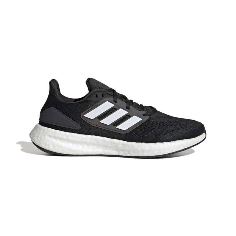 Pureboost 22 image number null