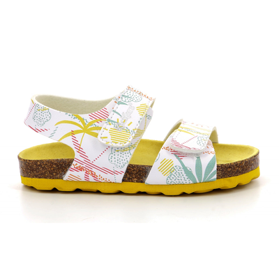 895452-10 19-27, White Sunshine, medium