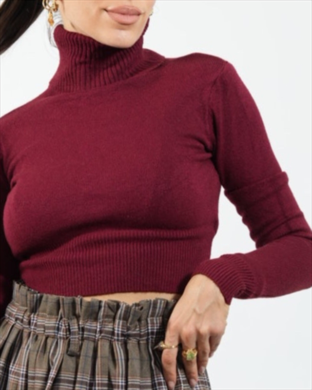 Polo ripped crop top 6023-null