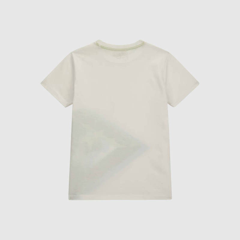 Boys t-shirt image number null
