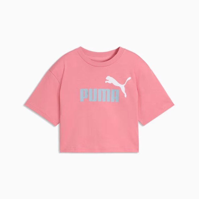 Puma ess 2 color logo tee 25-null