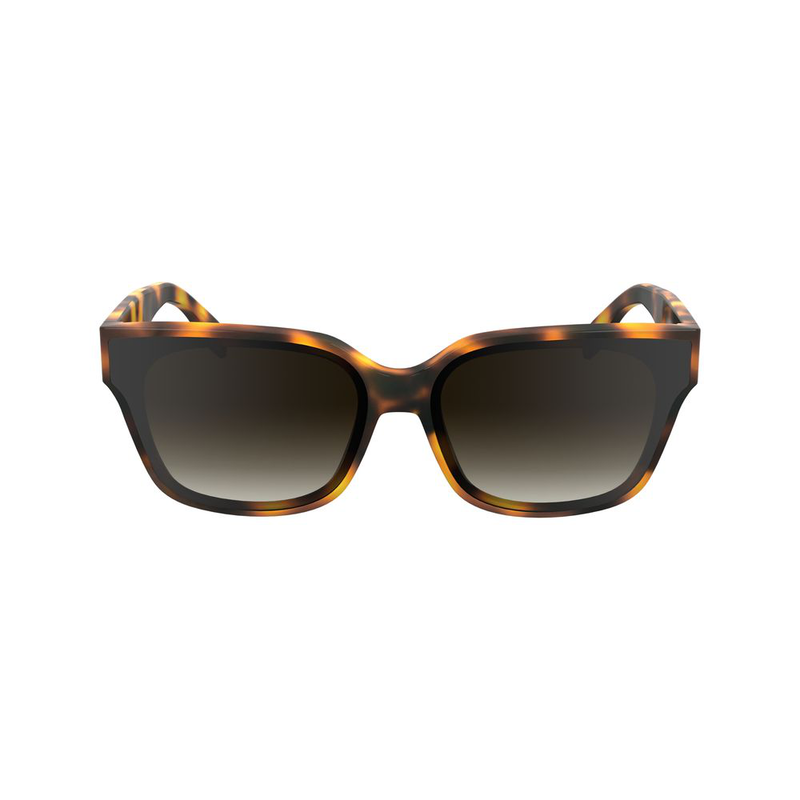 Brown acetate sunglasses-null