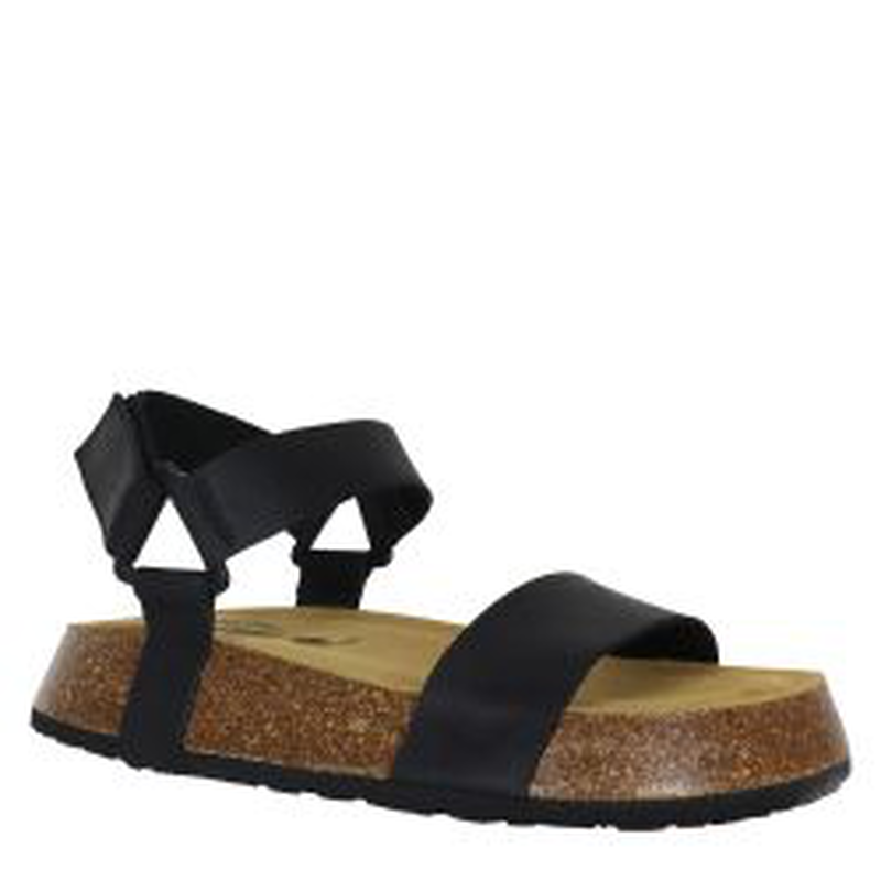 Plakton &gamma;&upsilon;&nu;&alpha;&iota;&kappa;&epsilon;ί&omicron; &sigma;&alpha;&nu;&delta;ά&lambda;&iota;-null