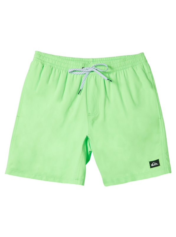 Quiksilver boys swimwear everyday solid volley yth 14 image number null