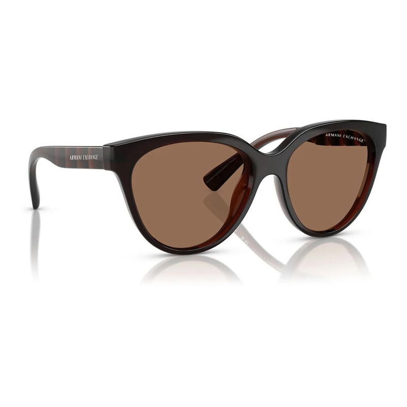 Brown injected sunglasses-null