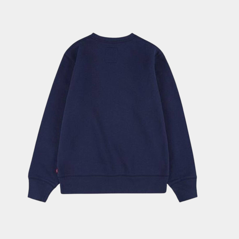 Batwing crewneck sweatshirt-null