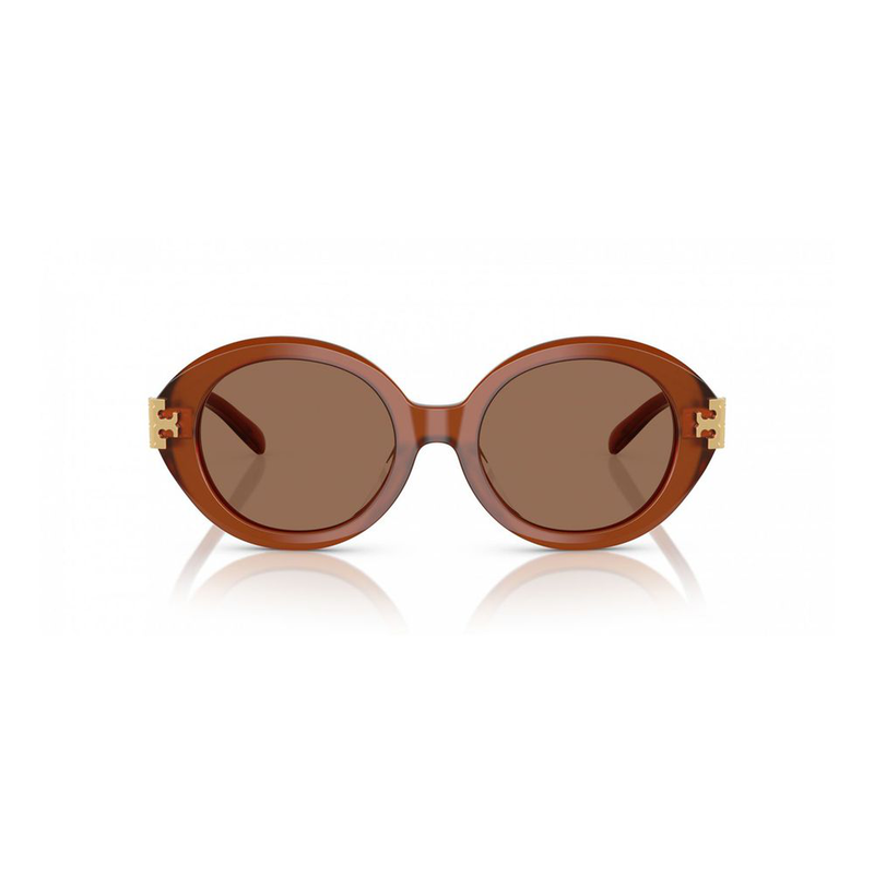 Brown acetate sunglasses-null