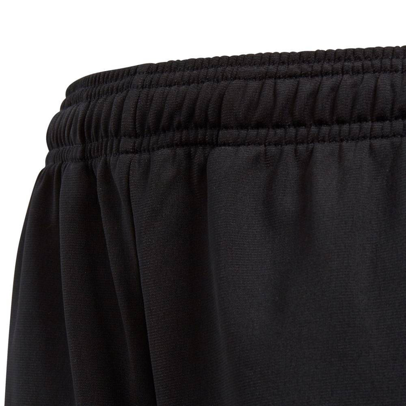 Core18 pes pants-null