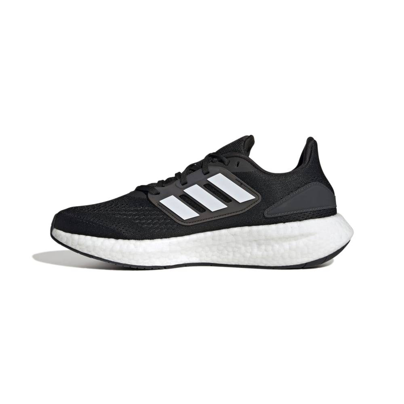 Pureboost 22 image number null