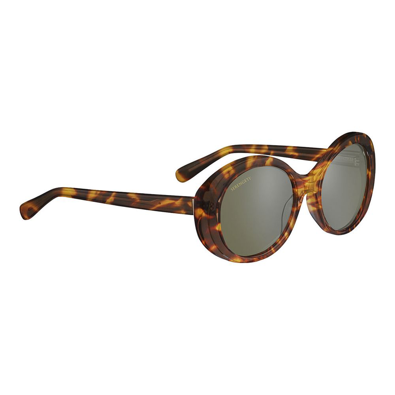 Brown acetate sunglasses-null