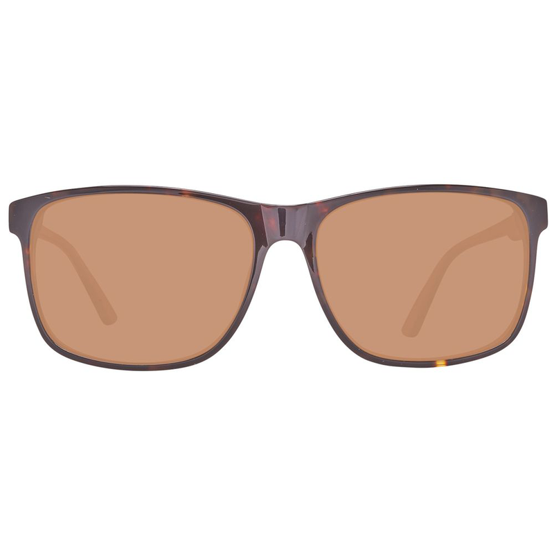 Brown plastic sunglasses-null