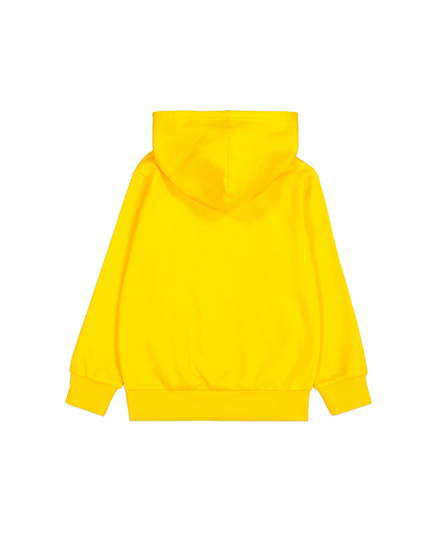 Champion boys hooded sweatshirt image number null