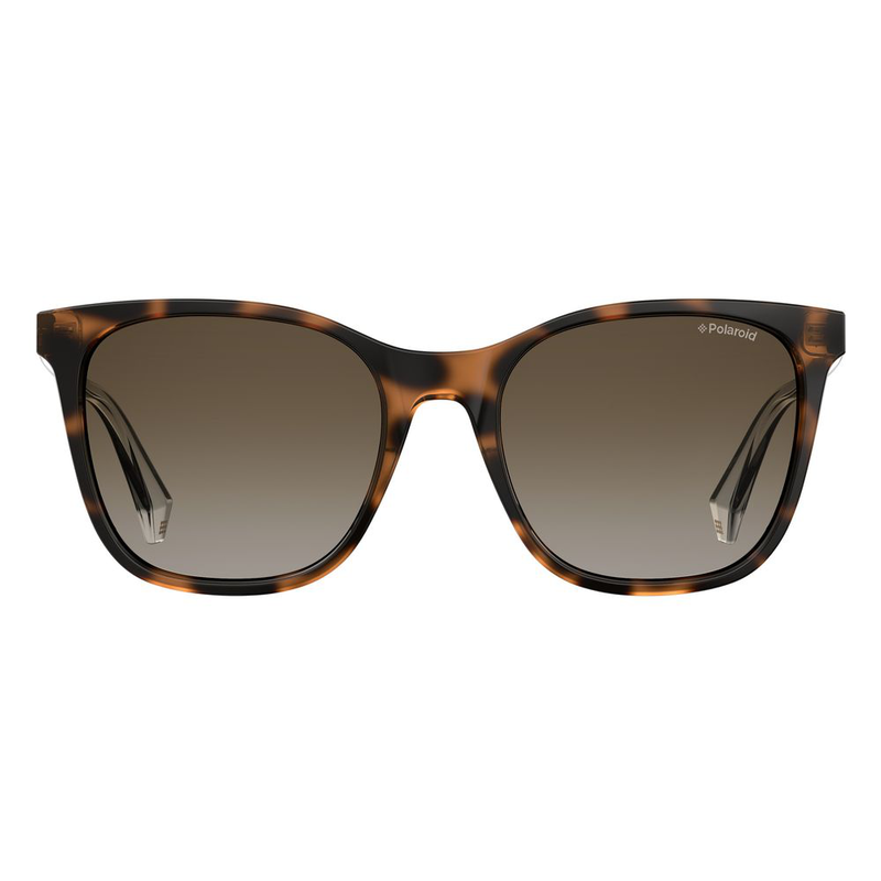 Brown plastic sunglasses-null