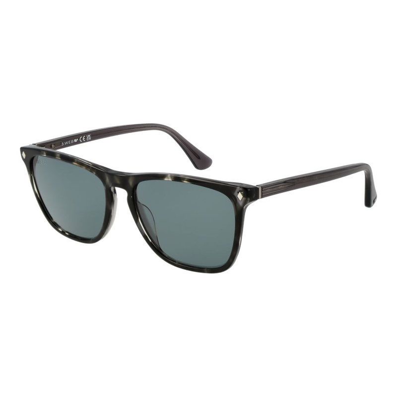 Black acetate sunglasses-null