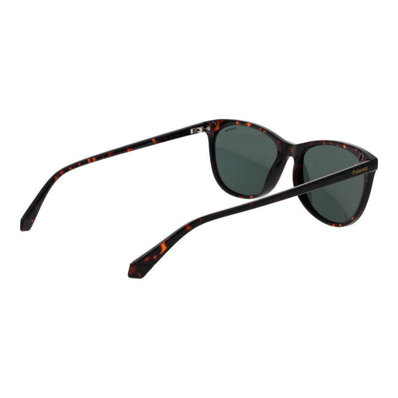 Brown plastic sunglasses-null