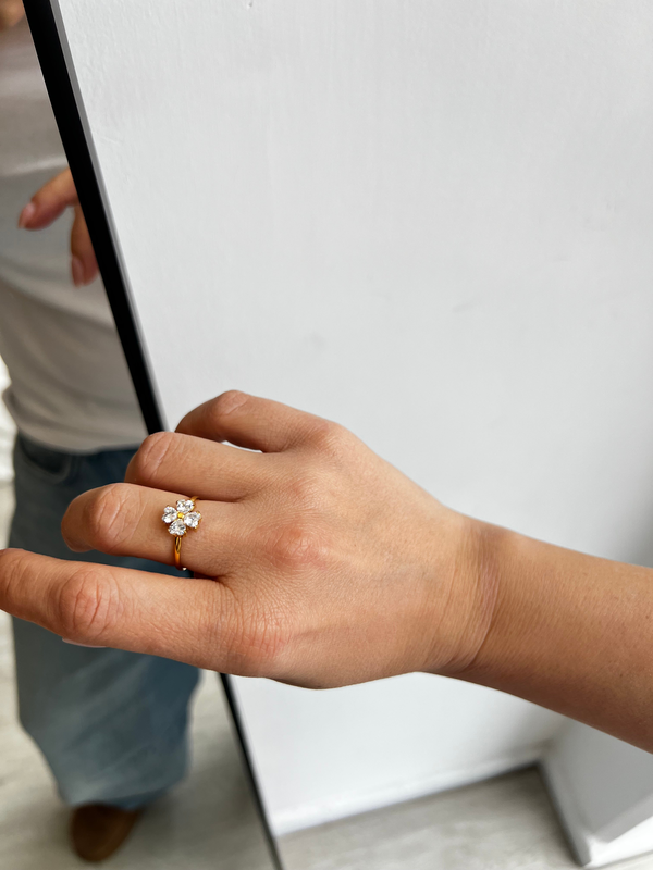Product image: Ring-null