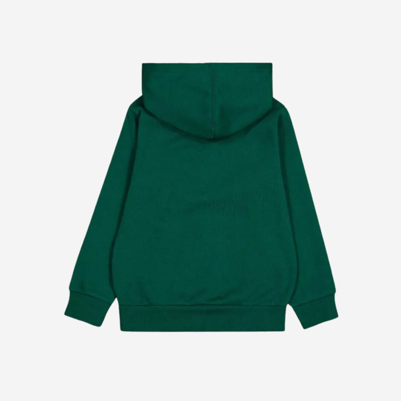 Boys graphic shop hoodie-null