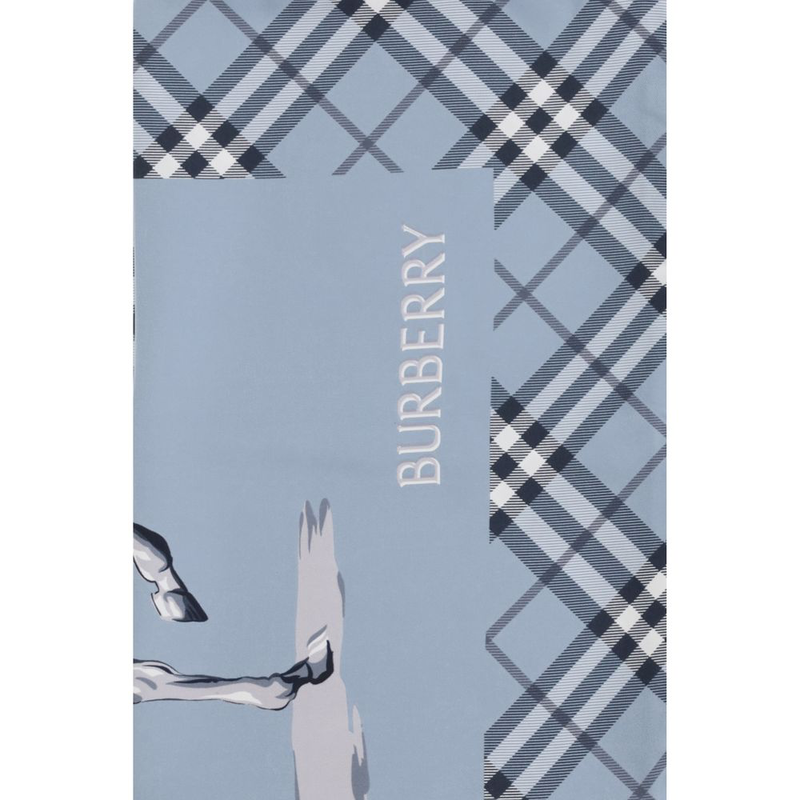 Blue silk scarf-null