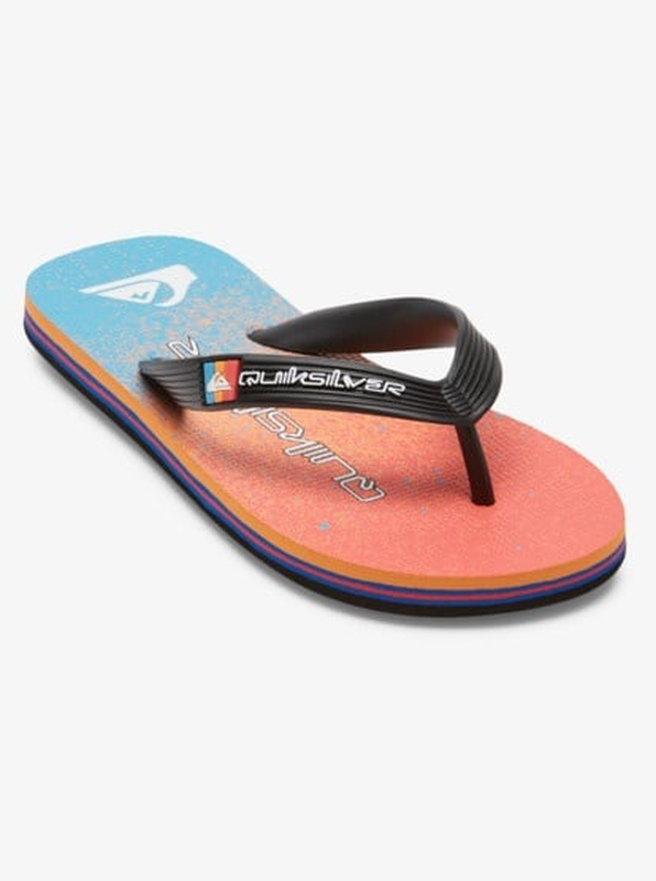 Product image: Quiksilver boys slaps molokai art II youth-null