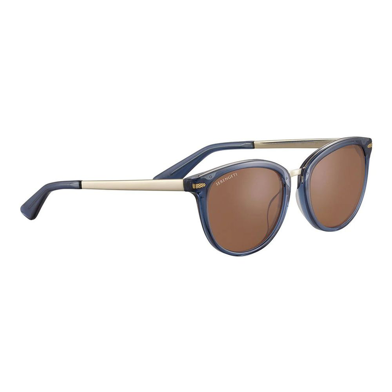 Blue acetate sunglasses-null
