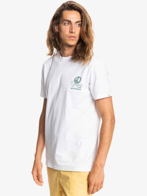 Quiksilver men new world - short sleeve t-shirt (eqyzt06661--null