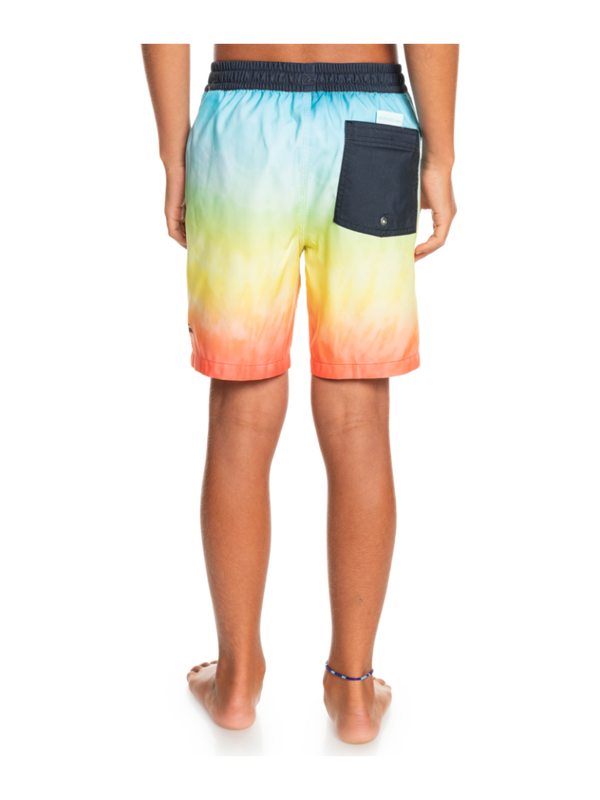 Quiksilver youth boys everyday faded logo 15" - swim shorts-null