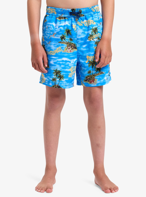 Quiksilver boy's swimwear everyday straight volley yth14 swi, Coronet Blue, medium