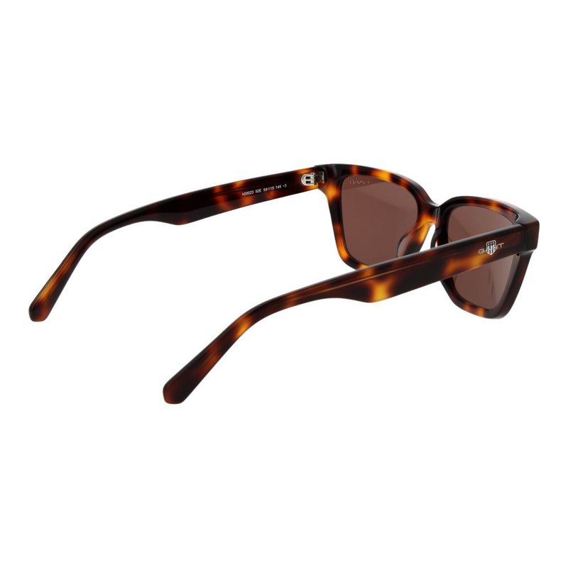 Brown acetate sunglasses-null