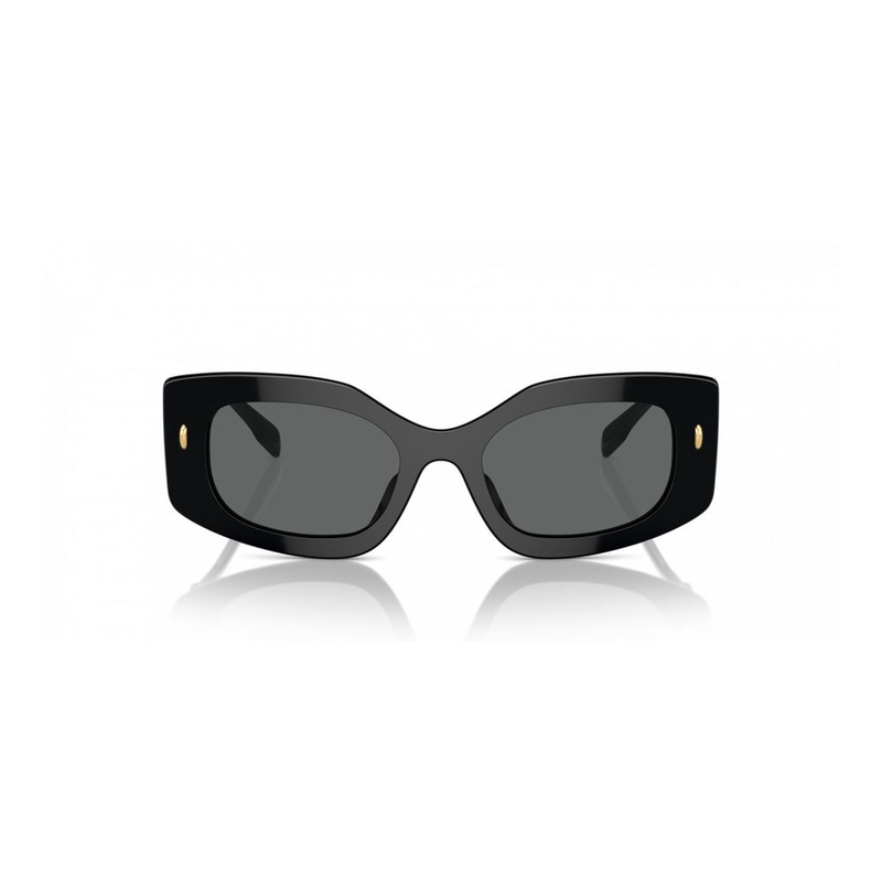 Black acetate sunglasses-null