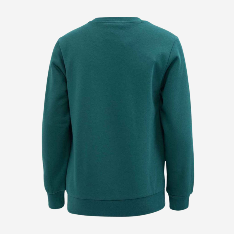 Boys graphic shop crew sweat-null