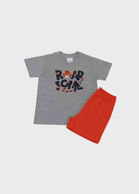 Elephant set-null