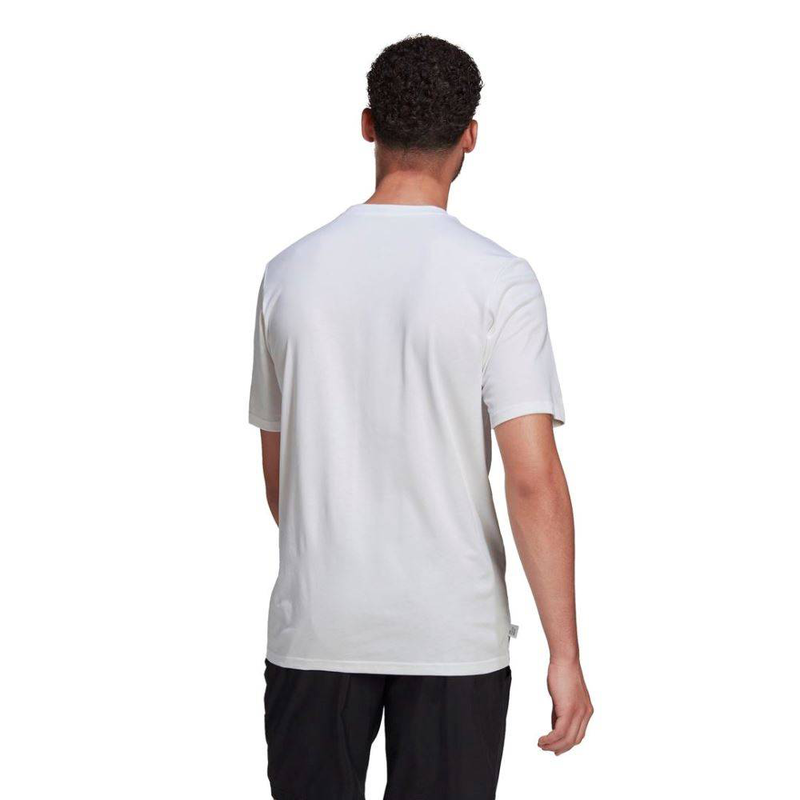 Men dt logo g top-null