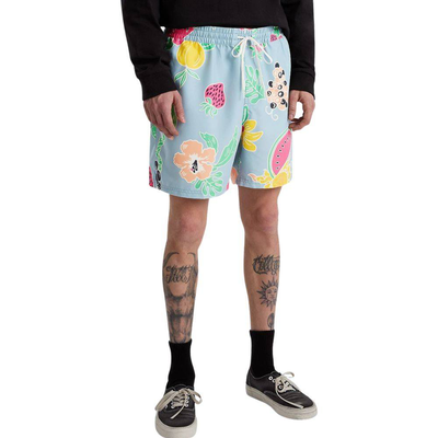 Vans primary print elastic boardshort, Lavender, medium