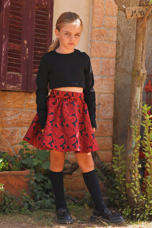 Paisley skirt-null