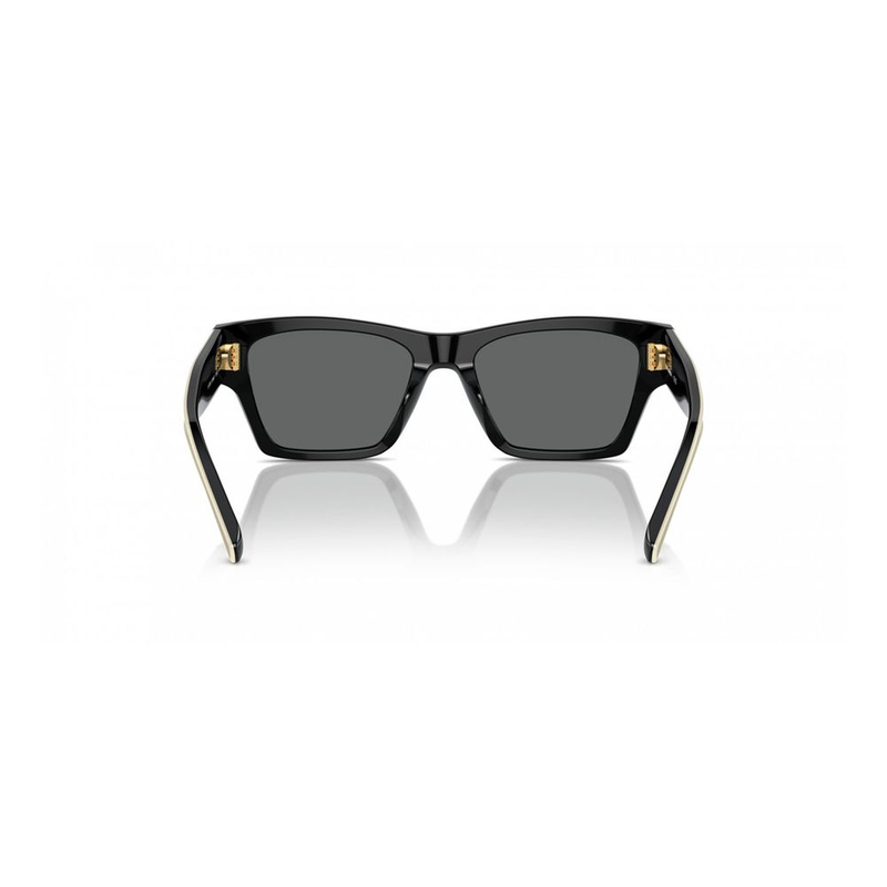 Black acetate sunglasses-null